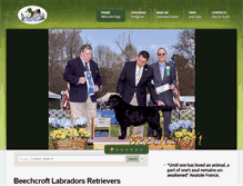 Tablet Screenshot of beechcroftlabradors.com